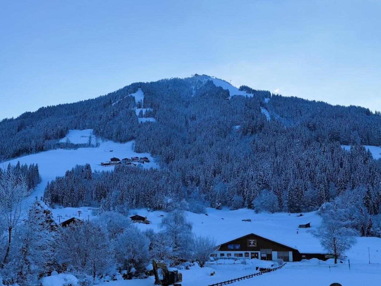 Hotel Alpenhof 베스텐도르프 외부 사진